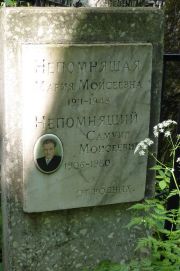 Непомнящий Самуил Моисеевич, Москва, Востряковское кладбище